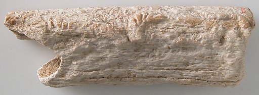 Fragment