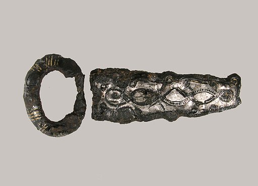 Loop and Plate of a Belt Buckle