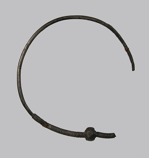 Earring