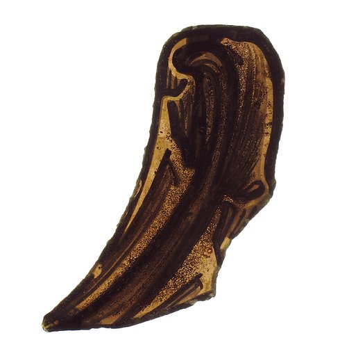 Glass Fragment