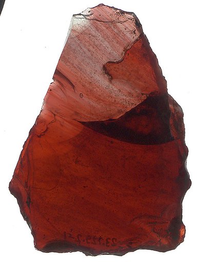 Fragment from a Panel