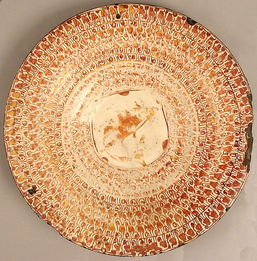 Dish