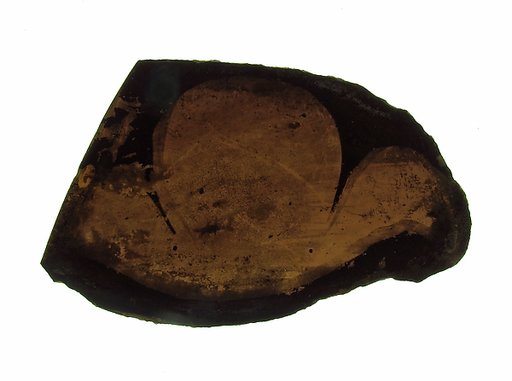 Glass Fragment