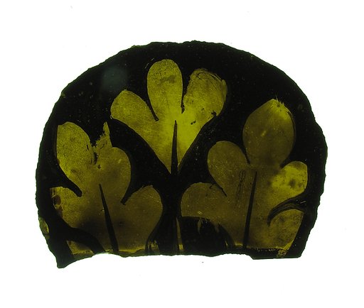 Glass Fragment