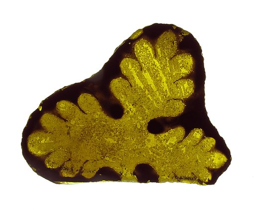 Glass Fragment