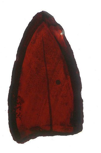 Glass Fragment