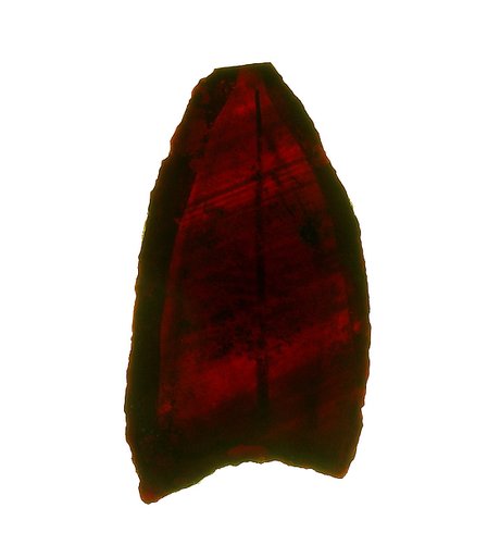 Glass Fragments