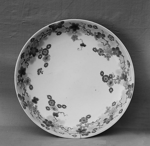 Dish