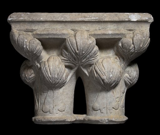 Double Capital