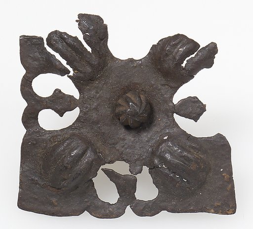 Plate and Nail
