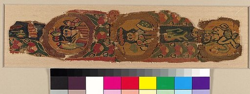 Textile Fragment