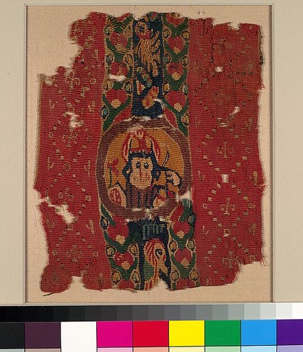 Textile Fragment