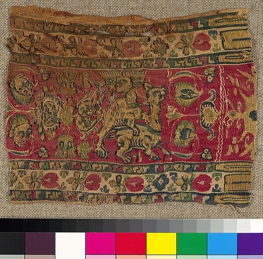 Textile Fragment
