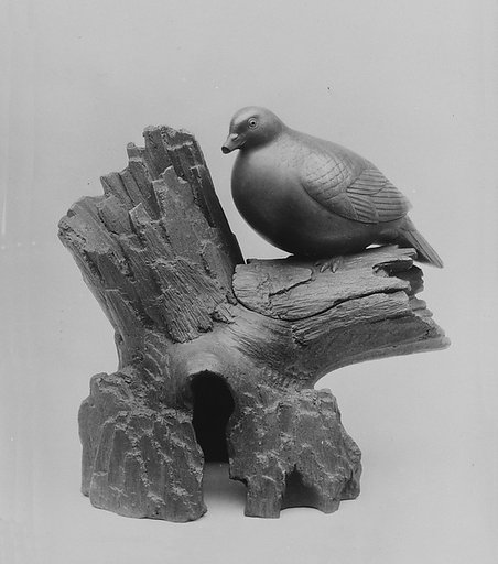 Pigeon on a Stump