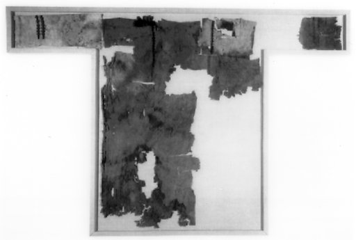 Dress Fragments