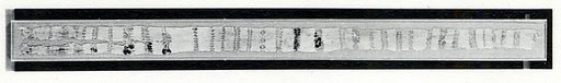 Belt