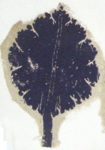 Textile Fragment