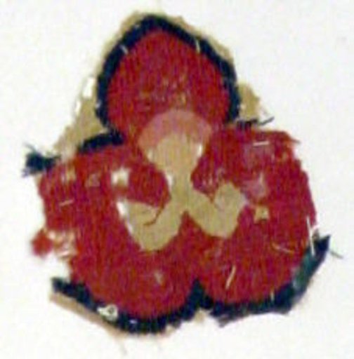 Textile Fragment