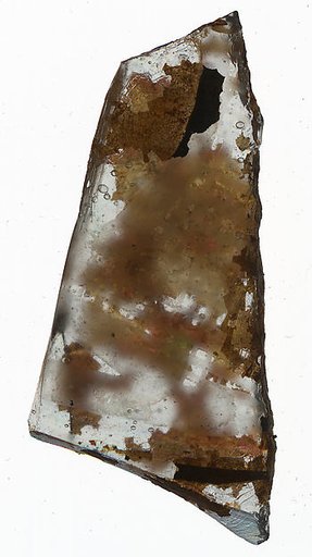 Fragment