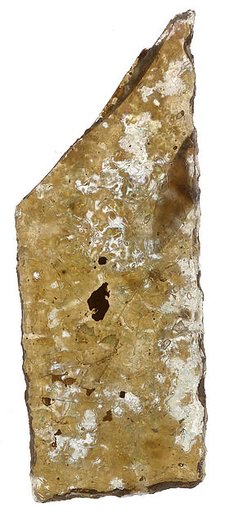 Fragment