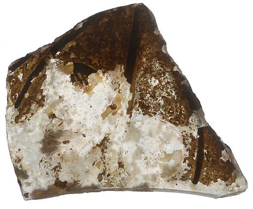 Fragment