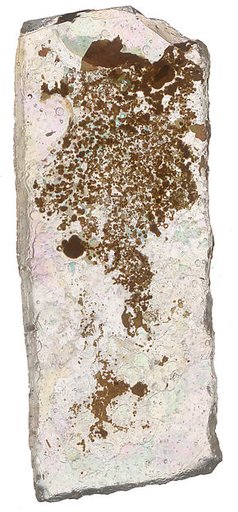 Fragment