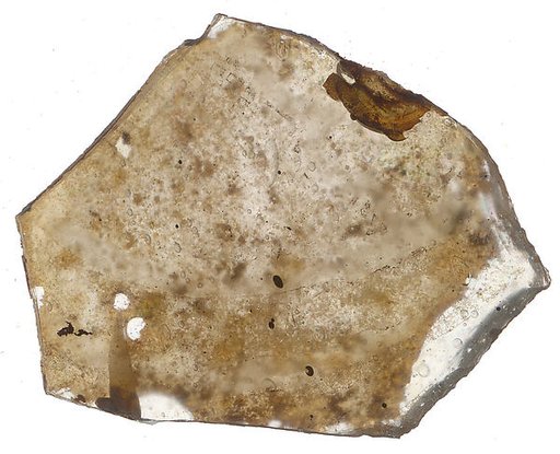Fragment