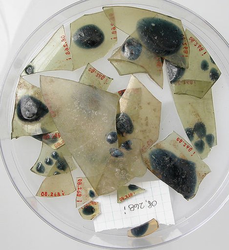 Glass Fragments from a Vessel