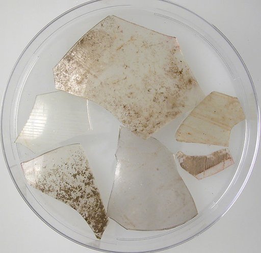Glass Fragments