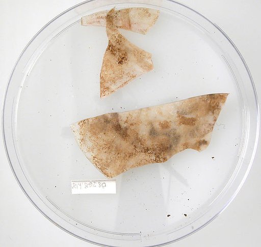Glass Fragments
