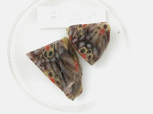 Glass Fragments from a Vessel