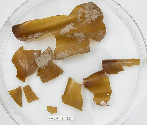 Glass Fragments