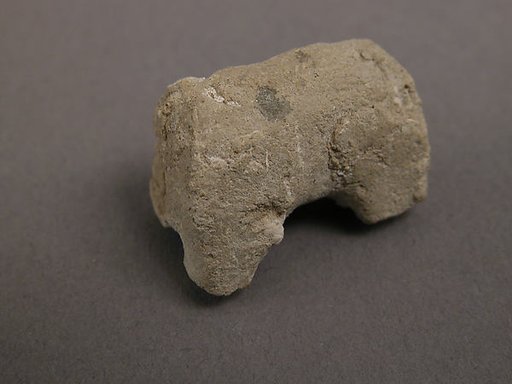 Animal (?)