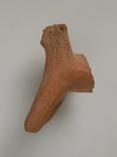 Fragment of an Animal