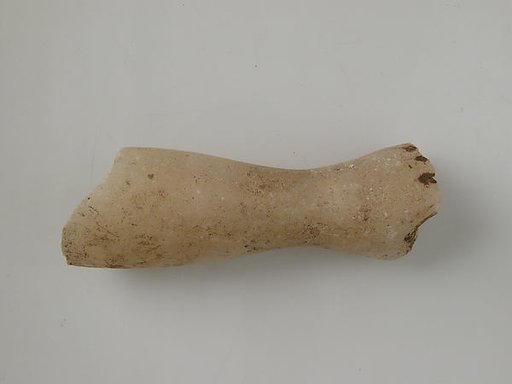 Lower Arm Fragment