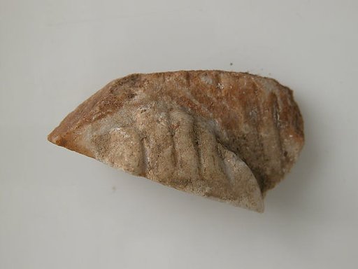 Foot Fragment
