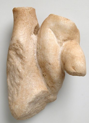 Fragment of a Male Torso with a Tree Trunk