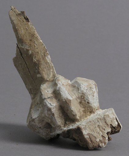 Claw Fragment