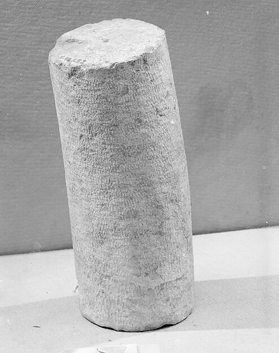 Shaft Section