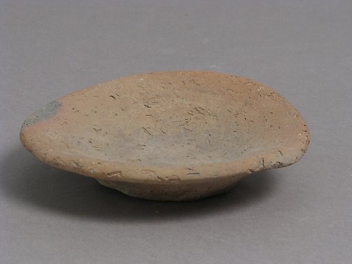 Dish