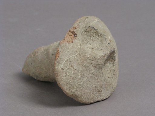Lid