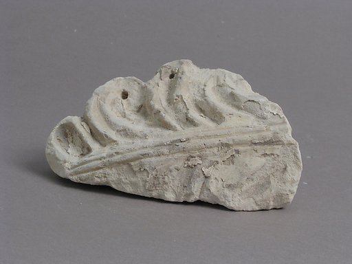 Acanthus Leaf Fragment