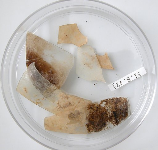 Glass Fragments