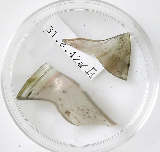 Glass Fragments