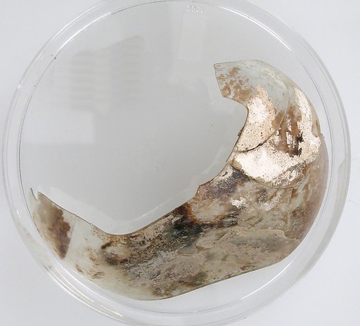 Glass Fragment
