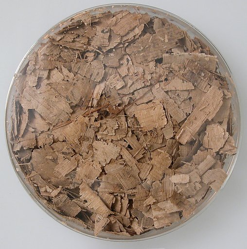 Papyri Fragments