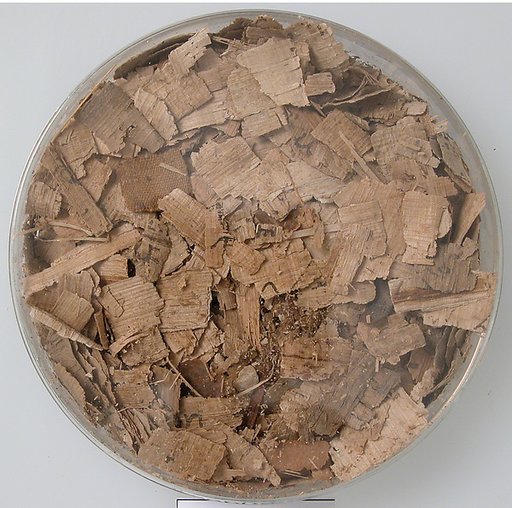 Papyri Fragments