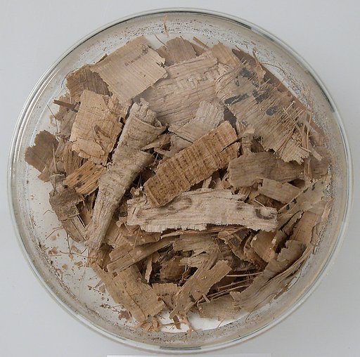 Papyri Fragments