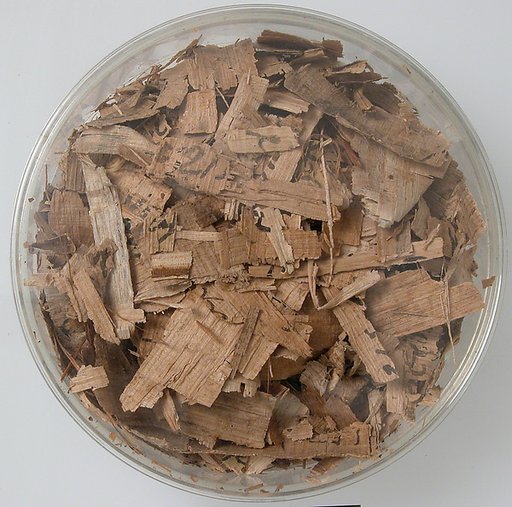 Papyri Fragments