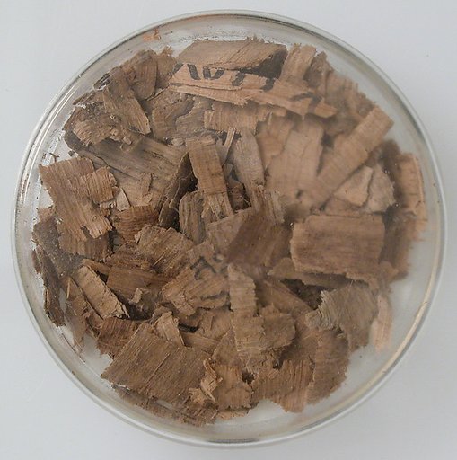 Papyri Fragments